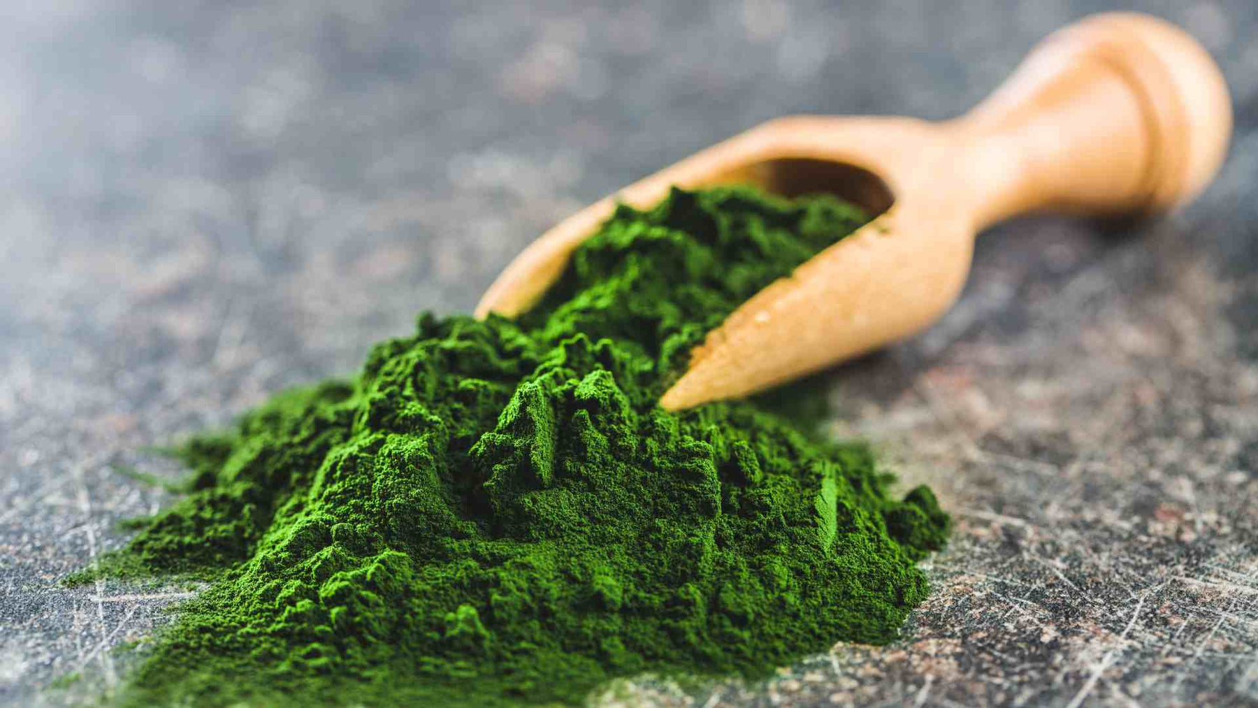Chlorella Powder to Energize Your Day