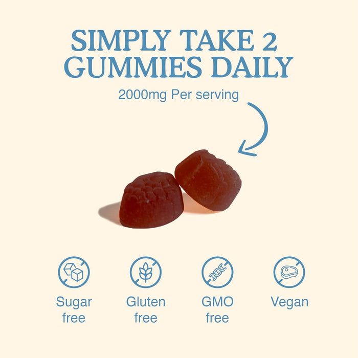 Lion’s Mane Gummies 2000mg