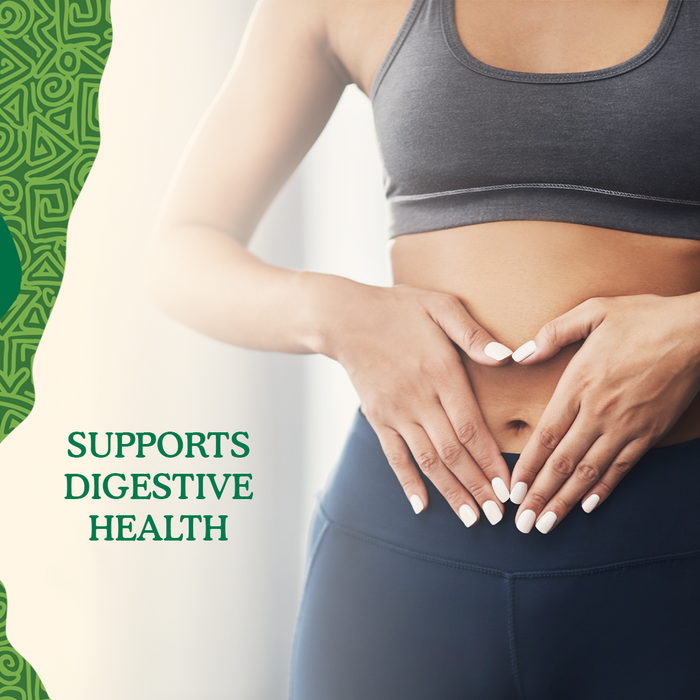 Chicory Inulin Powder