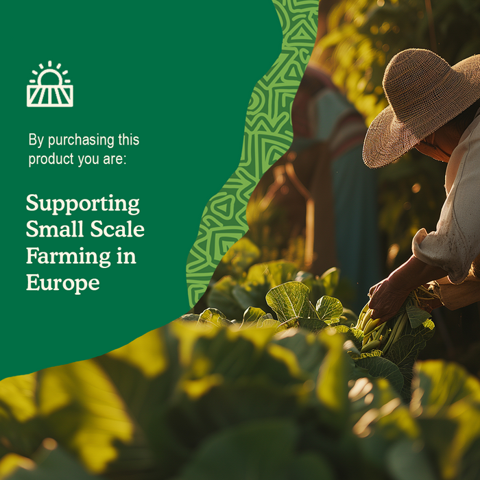 Chicory Inulin Powder